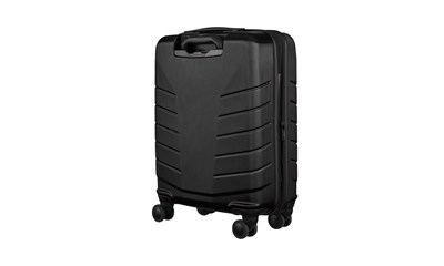 Pegasus Carry-on