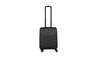 Pegasus Carry-on