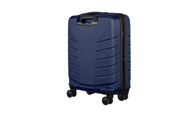 Pegasus Carry-on