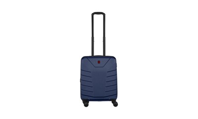 Pegasus Carry-on