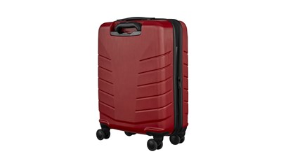 Pegasus Carry-on