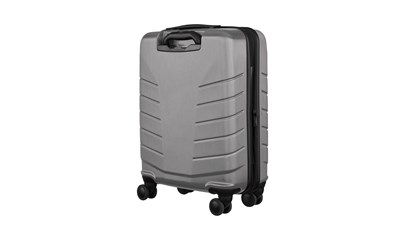 Pegasus Carry-on