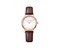 URBAN CLASSIC Ø35, 3N case, silver-white dial, brown leather - W