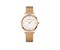 METROPOLITAN DONNISSIMA Ø38 SST, Silver dial, 3N Mesh - W